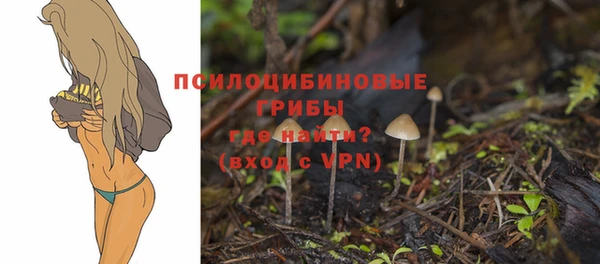 дурь Волосово