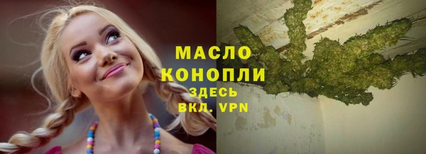 дмт Сатка