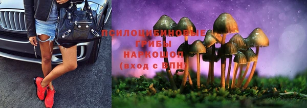 дурь Волосово